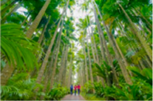 東南植物楽園